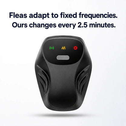 Keep your home flea-free. No chemicals. No effort.
